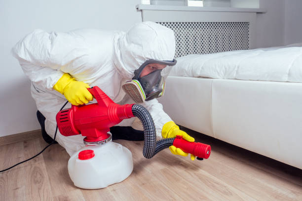 Best Flea Control Services  in Pryor Creek, OK