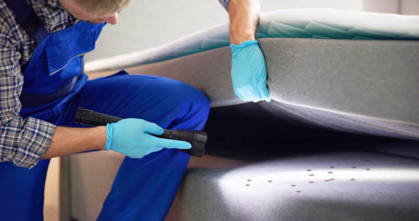 Best Emergency Pest Control  in Pryor Creek, OK