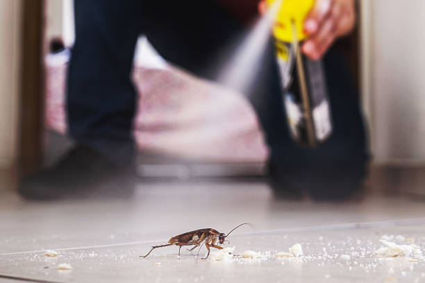 Best Pest Control Near Me in Pryor Creek, OK