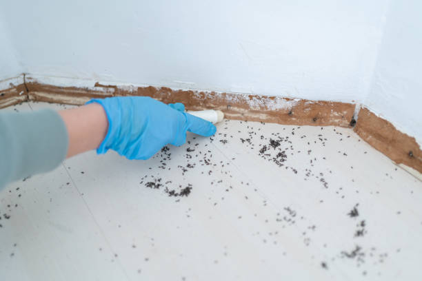 Best Pest Control Near Me  in Pryor Creek, OK